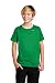 Nike Youth Boys Legend Short Sleeve Tee Shirt (Large, Apple Green)