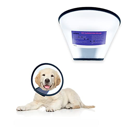 Best Dog Elizabethan Collar