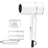Secador de Pelo Profesional Iónico, con Concentrador y Boquilla de Peinado