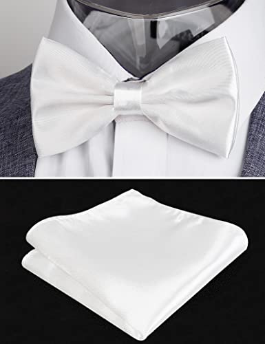 Image of Alizeal Mens Multicolored Silk Solid Cummerbund Bow Tie Set