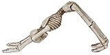 Halloween Decorations - Polyresin Yoga Skeletons in Choice of Position (Downward Dog)
