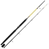 WFT Bootsrute Never Crack Fjordspin 2,10m 300-1000g