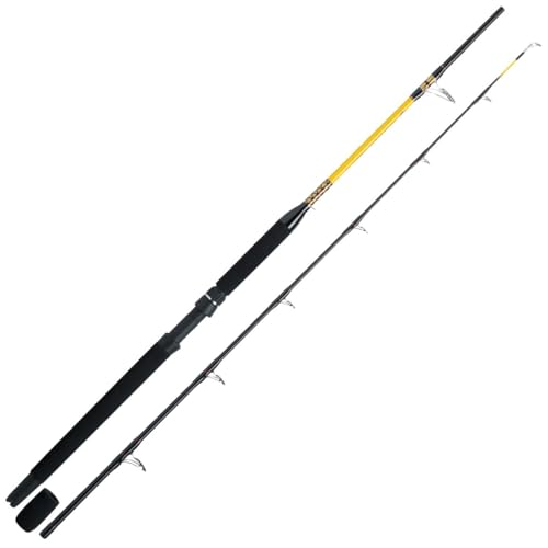 WFT Bootsrute Never Crack Fjordspin 2,10m 300-1000g