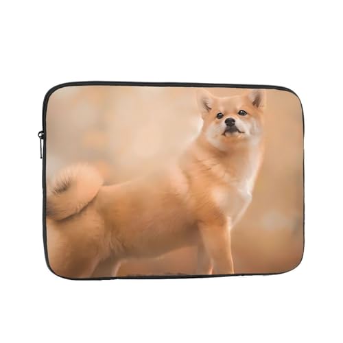 p\RP[X ^ubgP[X X̎Č PcP[X m[gp\R ^ubgpc h Vv ʋ ʊw rWlX  킢 y 12 Inch