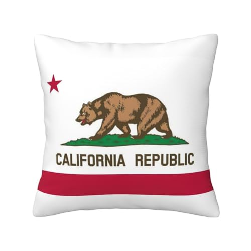 KLJnmbb Funda de cojín cuadrada con estampado de bandera del estado de California, para sofá, oficina, vacaciones, hogar, decoración para todas las estaciones