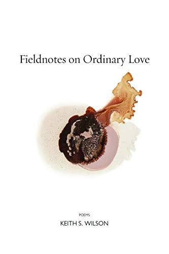 Fieldnotes on Ordinary Love book cover