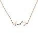 PAVOI 14K Rose Gold Plated Astrology Constellation Horoscope Zodiac Necklace 16-18" - Scorpio
