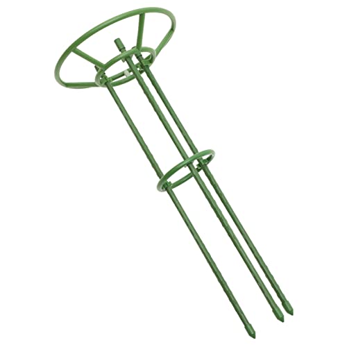 JOINPAYA Cage De Support pour Plantes Pot Treillis pour Plantes Grimpantes Support De Protection pour Fleurs pour Jardin Et Pot De Fleurs