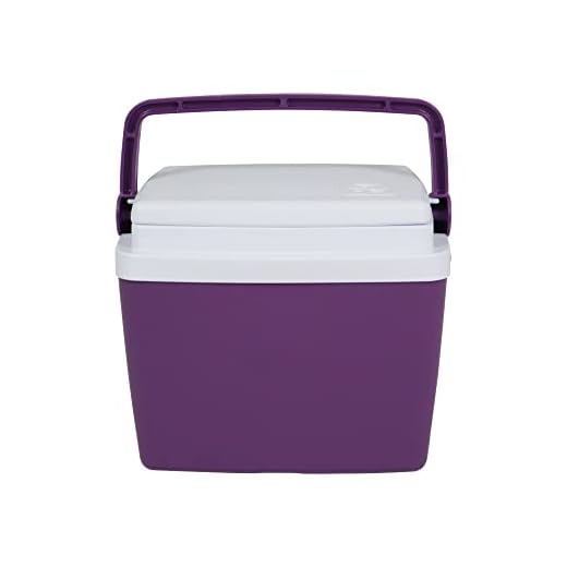 CAIXA TERMICA 6L BEL - ACAI