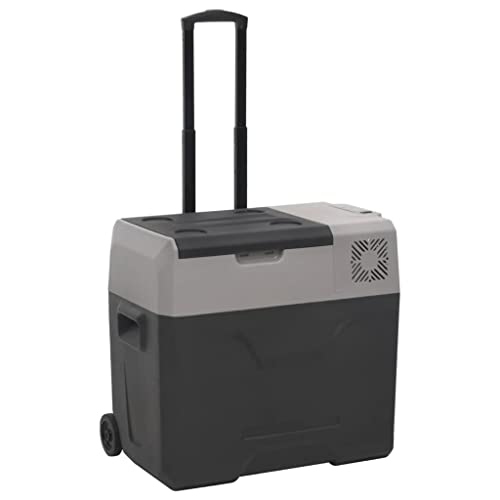 Nevera con rueda y asa, color negro y gris, 40 L, polipropileno