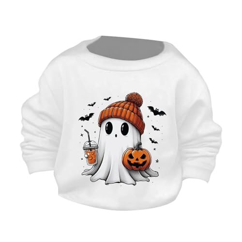 Kids Halloween Pullover Sweatshirts Pumpkin Graphic Oversized Long Sleeve Crew Neck Tops Boys Girls Fall Casual Clothes