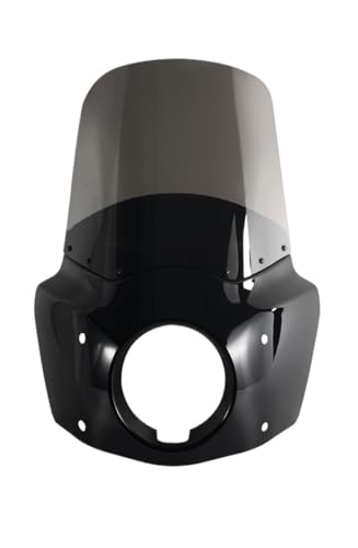 Aileron Carénage de Moto 15 Pouces Déflecteur Aérodynamique pour FXDLS