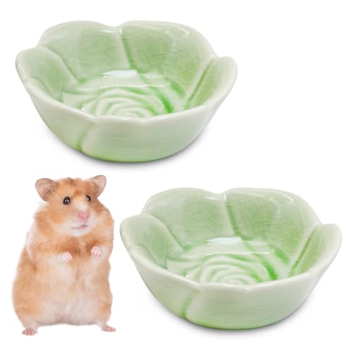 BNOSDM 2 Pcs Hamster Ceramic Food Bowl Flower Series Gerbil