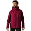 Dark Maroon/Black