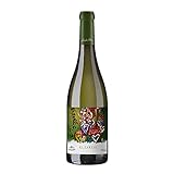 Emilio Moro - El Zarzal, Vino Blanco Afrutado, Variedad Godello, El Bierzo - Botella Magnum 1,5 L