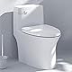 BinPhorm WC Spülgriff,WC Griffe Spülhebel Toilettenspüler Hebel Spülung Toilet Flush Handle Badezimmerzubehör für WC Spülkasten Tank