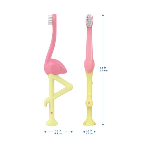 Dr. Brown's Toddler And Baby Manual Toothbrush, Flamingo, 1 Count, Multicolor - Image 14 thumbnail