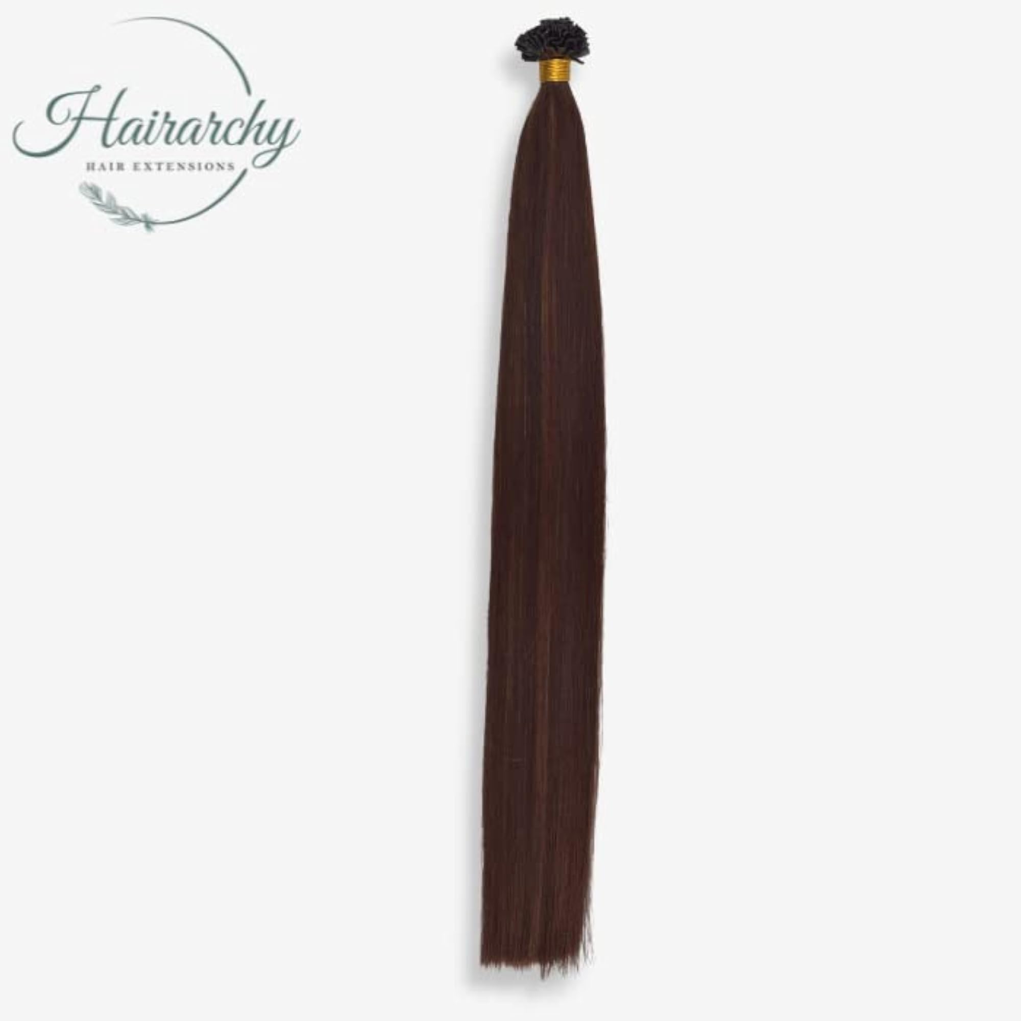 Hairarchy U-Tip Real Human Hair Extensions, 24 Inch, Chocolate Brown