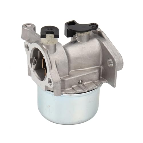Carburateur Briggs & Stratton 796707 kit filtre à air 491588S pièce de rechange tondeuse