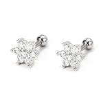 2PCS Stud Earrings 16G 6mm 316L Surgical Steel CZ Flower Cartilage Earrings Stud Piercing Helix Cart