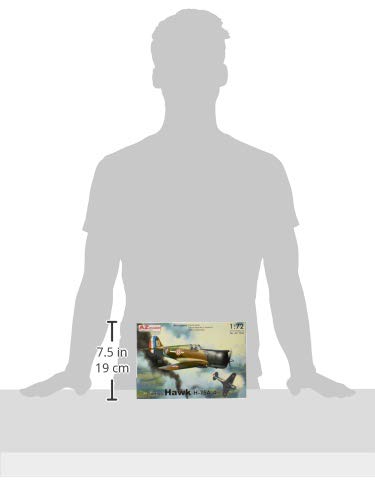 フランス空軍プラモデル Amazon | コッパーステートモデル 1/32 フランス空軍 ニュー