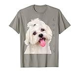 Love Is Bichon Gifts