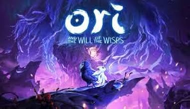 ori and the will of the wisps amazon