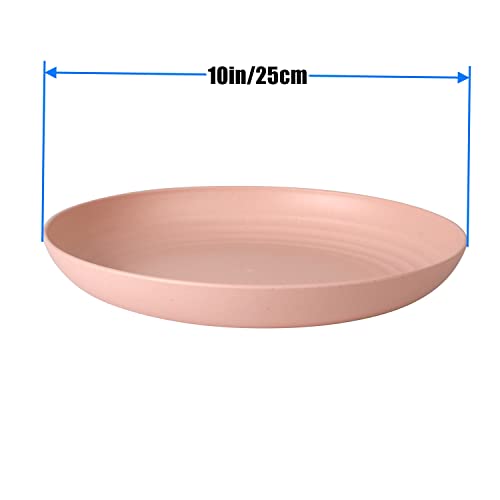 Cambuy Wheat Straw Plates Lightweight Unbreakable Dinner Dishes Plates Set Non-Toxin Dishwasher & Microwave Safe Bpa Free And Healthy (Extra Large 4 Pack 10') #TOP2