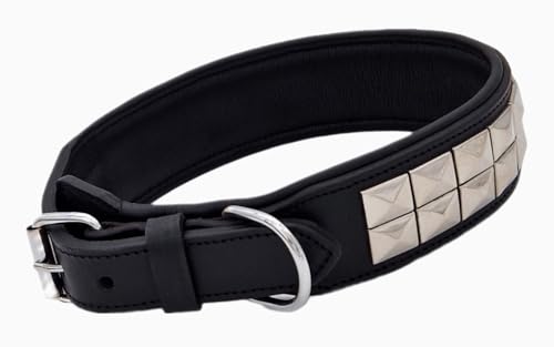 Hundehalsband Titan Lederhalsband Leder Schwarz Nieten Hohe Zugkraft Extra Breit Halsband Hund (L)