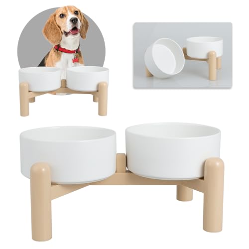 Comederos Perros Elevados Marca PTOBER