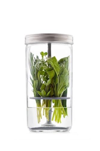 Image of Kilner Premium 1L Airtight Glass Herb Keeper Jar with Silicone Lifter for Mint, Coriander, Basil, Parsley | Wide Mouth, Reusable, Keep Herbs Fresh for Up to 3 Weeks