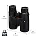 Celestron - Nature DX 8x42 Binoculars – Ideal for Birding and Outdoors – 42mm Objective Lenses – Wide 7.4° Field of View – BaK-4 Prisms – Fully Multi-Coated – Waterproof and Fogproof