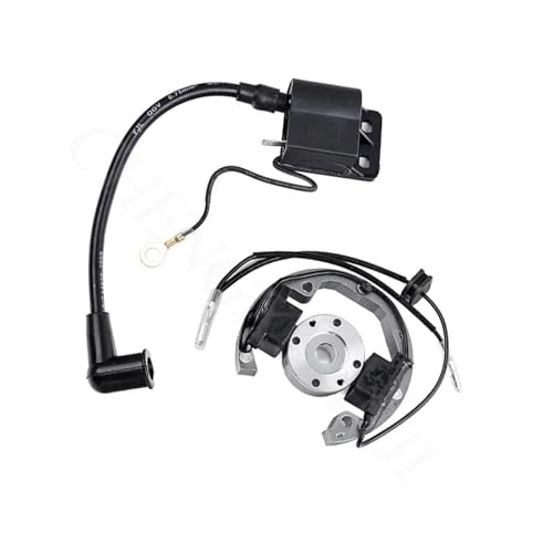 �G���W���p�[�c 50 SX 50cc �_�΃R�C���d�C�Ɠ_�΃~�j�I�[�g�o�C�_�[�g�s�b�g�o�C�N �����C�O�j�b�V�����R�C��