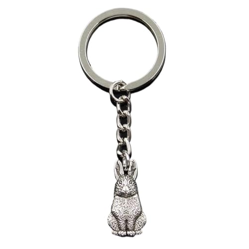 Porte-clés lapin métallique 24x10mm : ne perdez plus jamais votre clé de voiture