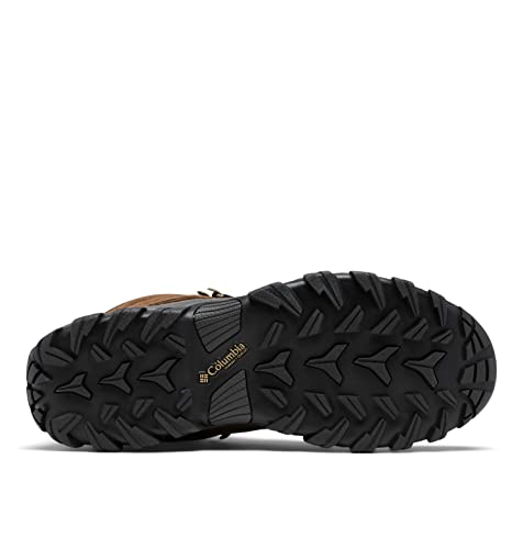 Columbia Sapato masculino Newton Ridge Plus Ii camurça impermeável caminhada, Marrom-escuro/cinza es
