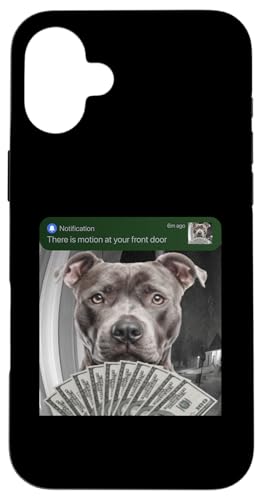 Pittbull ���֐�œ����������o�J �X�}�z�P�[�X iPhone 16 Plus �p