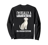 ¡El truco o trato se volvió impresionante con este diseño! Es una gran idea de regalo para un amante canino, mamá o papá de cachorro de laboratorio de mascotas, y una mujer de perro loca que ama Halloween. Celebra este Halloween con este adorable y no tan aterrador