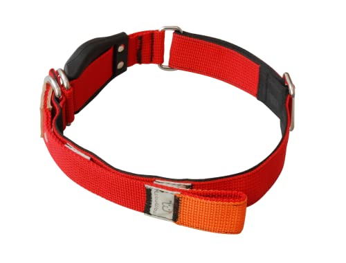 WowWow Professional Hundehalsband mit Leine - rot - Größe M 37-46 cm, 195g leicht, innovatives Halsband mit integrierter Leine - bekannt aus der Höhle der Löwen