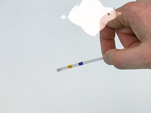 Pooltester mit 50 Teststäbchen für Chlor, pH-Wert und Algenschutz