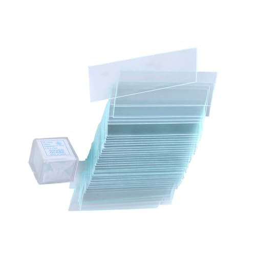 m[uhi `̃Jo[KX uNX Eh{ O\ Jo[OX ppɏꂽXCh uNXCh Oɐ򂳂ꂽ |Pbg