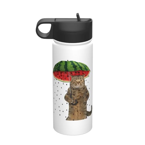 @r L lR  XCJ Z  530ml ^u[ XeX{g R[q[Jbv EH[^[{g Xg[t e ^fM ۉۗ q ʋ ʊw oR s X|[c 킢  v[g
