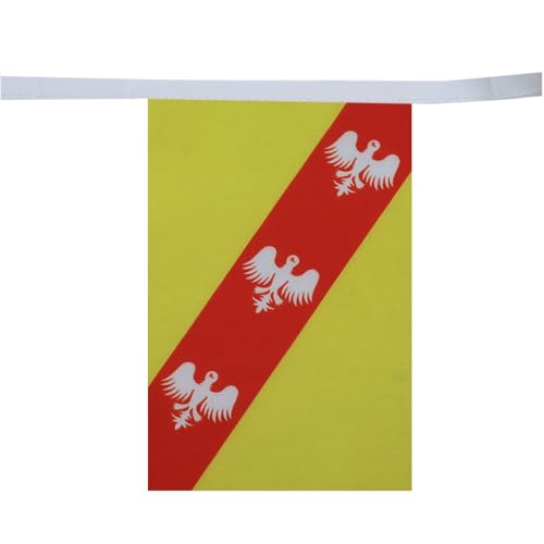 Image of AZ FLAG Lorraine 6 meters BUNTING Flag 20 flags 9'' x 6'' - French region of Lorraine STRING flags 15 x 21 cm