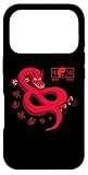 Fácil instalación Carcasa para iPhone 17 Pro Dragon Wing Chun Kung Fu