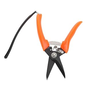 Beufee Beufeeoexbqvi8zy Gartenschere