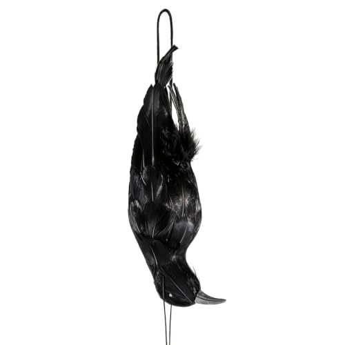 Realistic Hanging Dead Crow Decoys,12 Inch Large Lifesize Fake Crow