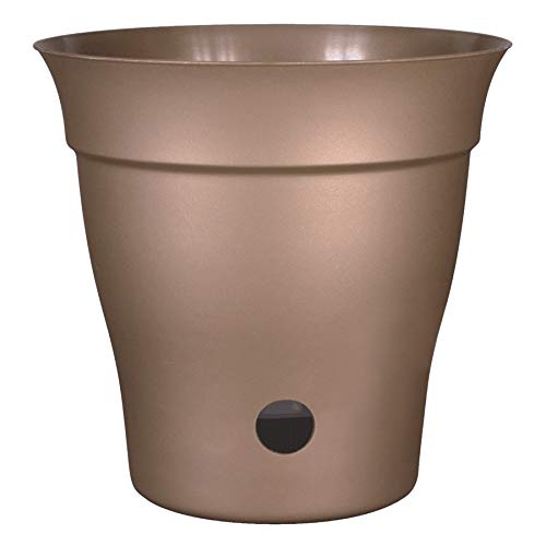 8" Self-Watering Chocolate Planter