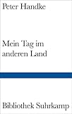  Mein Tag im anderen Land: Eine Dämonengeschichte (Bibliothek Suhrkamp)
