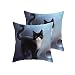 Juego de 2 Fundas de Almohada Decorativas, Fundas de Almohada para Gatos, Funda de cojín, Funda de Almohada para el hogar y sofá, decoración de Dormitorio, 45 x 45 cm