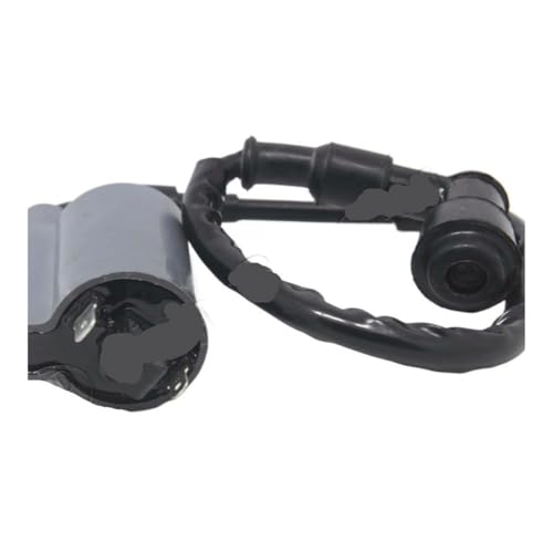 Bobine d'allumage 250cc 300cc 400cc pour scooter quad LH250 YP250
