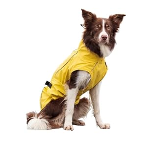 TRIXIE Regenmantel Vimy für Hunde gelb M – Bauchumfang: 48 – 73 cm – Hunde-Regenjacke mit reflektierenden Elementen für mehr Sichtbarkeit im Dunkeln – bequem & verstellbar – 67975
